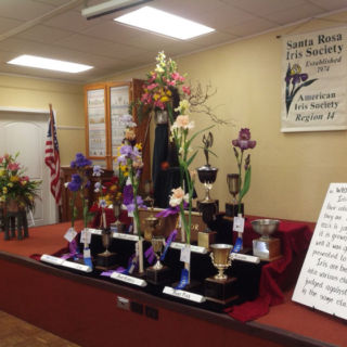 Iris Trophy Winners