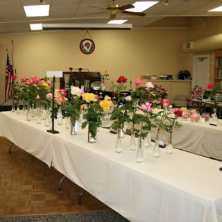 Flower Show Tables