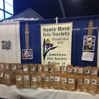 Santa Rosa Iris Society event